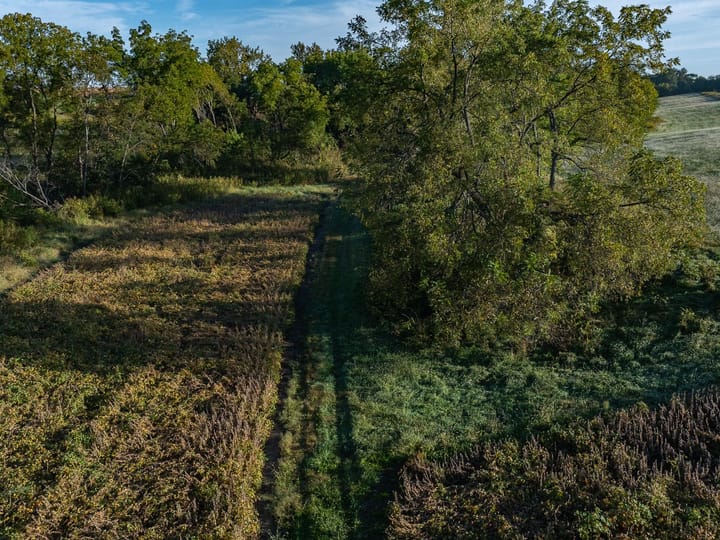 Knox Il 73 Acres Land For Sale Property 5