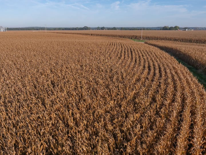 Knox Il 73 Acres Land For Sale Property 3