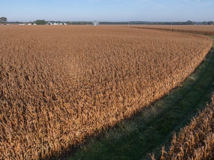 Knox Il 73 Acres Land For Sale Property 4