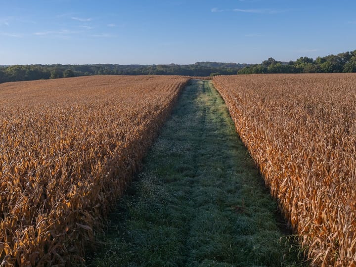Knox Il 73 Acres Land For Sale Property 1
