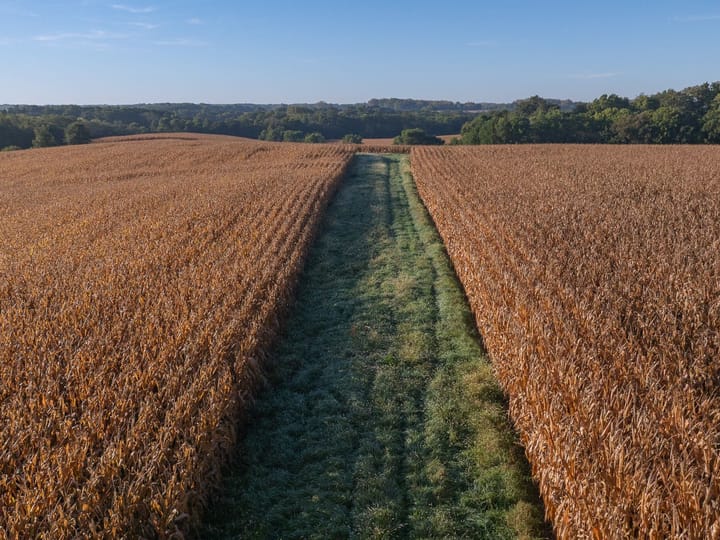 Knox Il 73 Acres Land For Sale Property 2