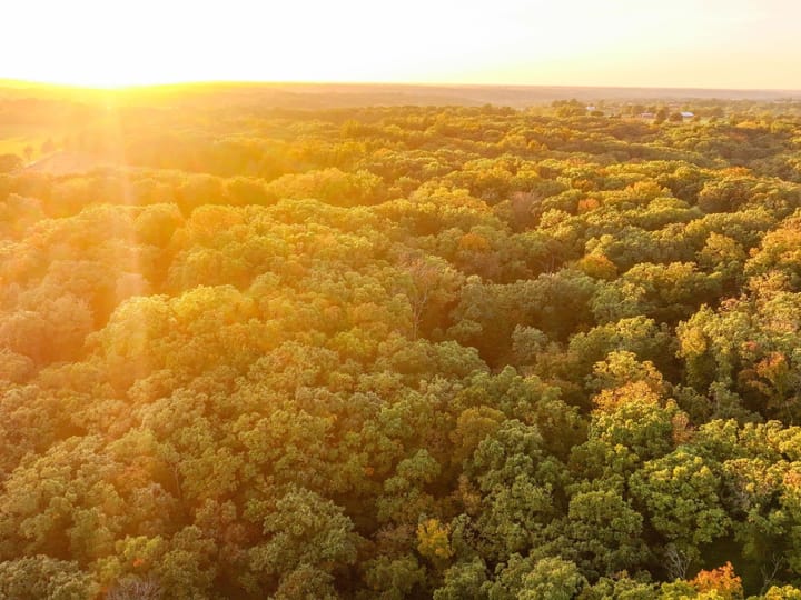 Dji 20261009071624 0166 D