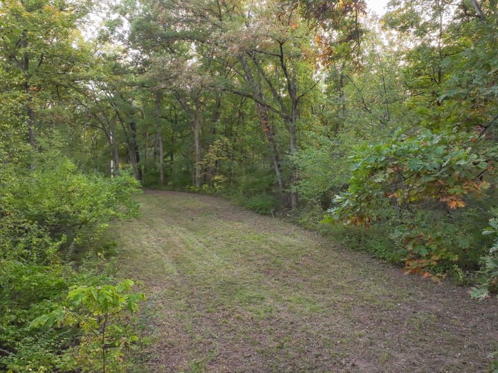 Davis Ia 40 Acres Land For Sale Wh Property20