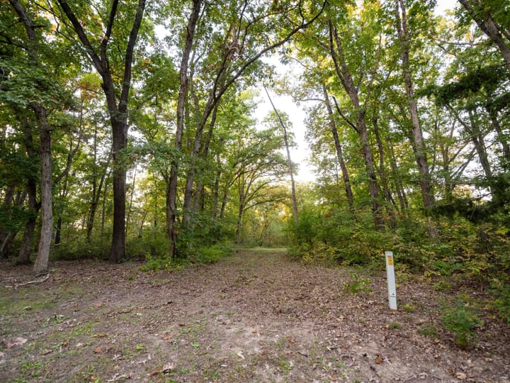 Davis Ia 40 Acres Land For Sale Wh Property11