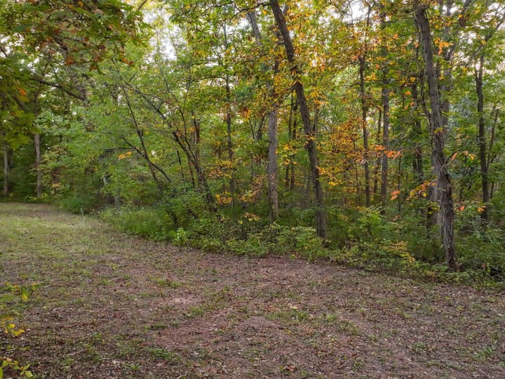 Davis Ia 40 Acres Land For Sale Wh Property19