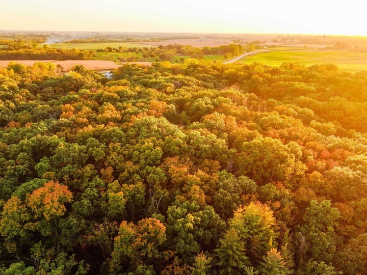 Dji 20261009071615 0165 D