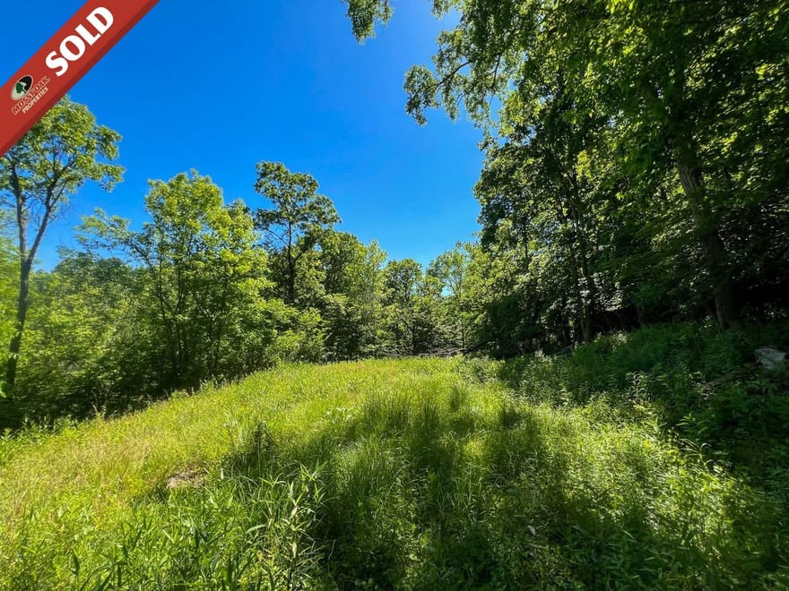 County Rd 17 - 8 acres