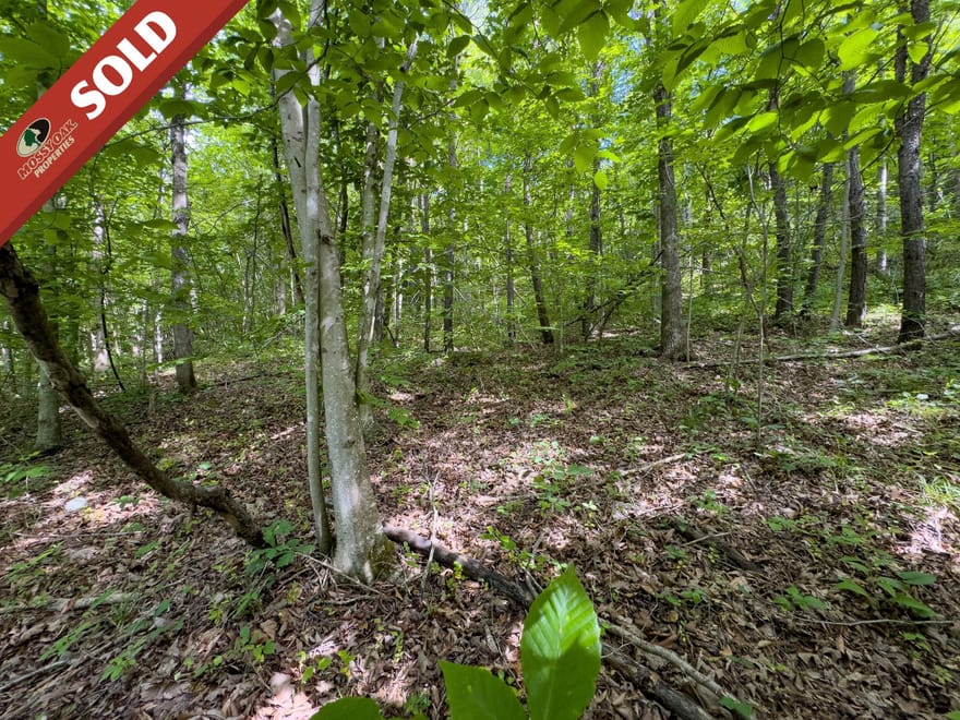 St Rt 141 Parcel 3& 4 - 109 acres