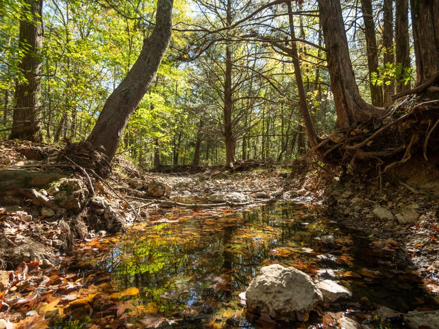 80± AC of Prime Recreational Land in Bollinger Co.