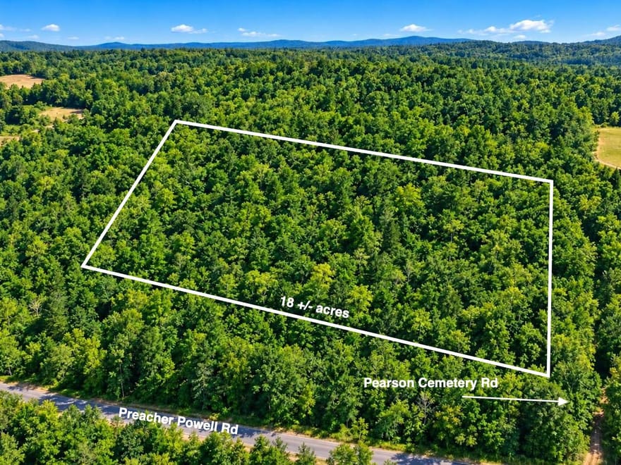 18 Surveyed Acres in Carriere, MS –  $115,000!