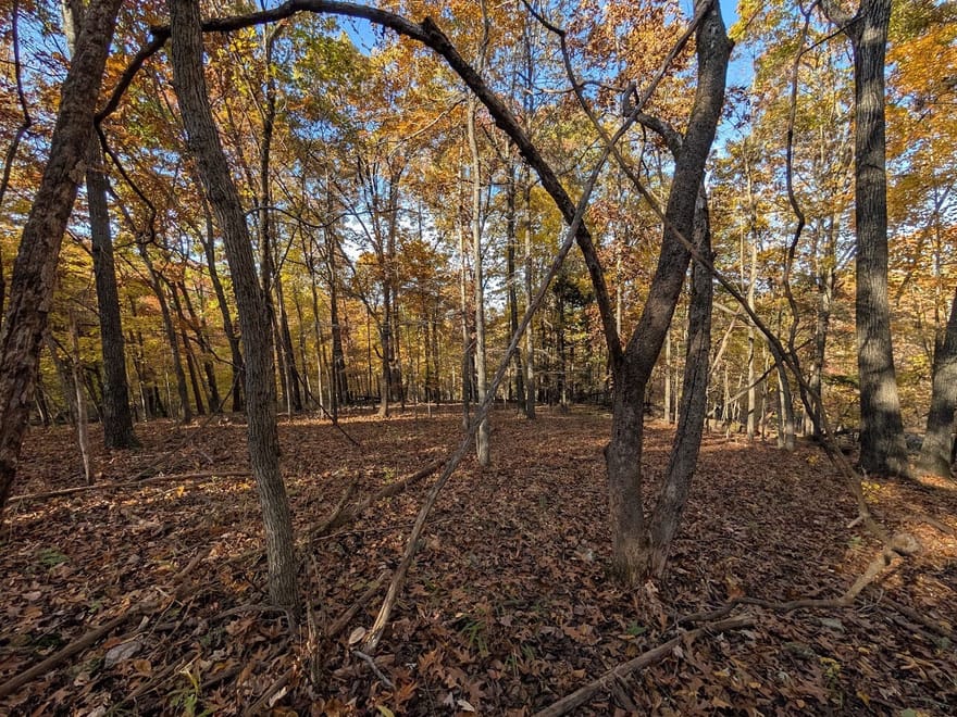 Hobbs State Park 6.23 Acre Lot