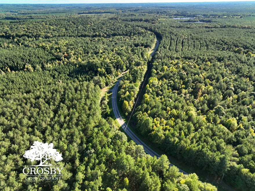 McLendons Creek Timberland