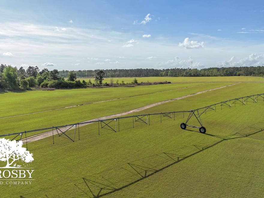 Highway 24 Turf Farm