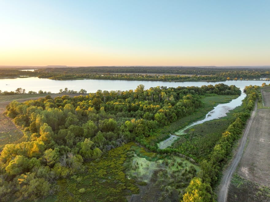 Arkansas River Bottomland