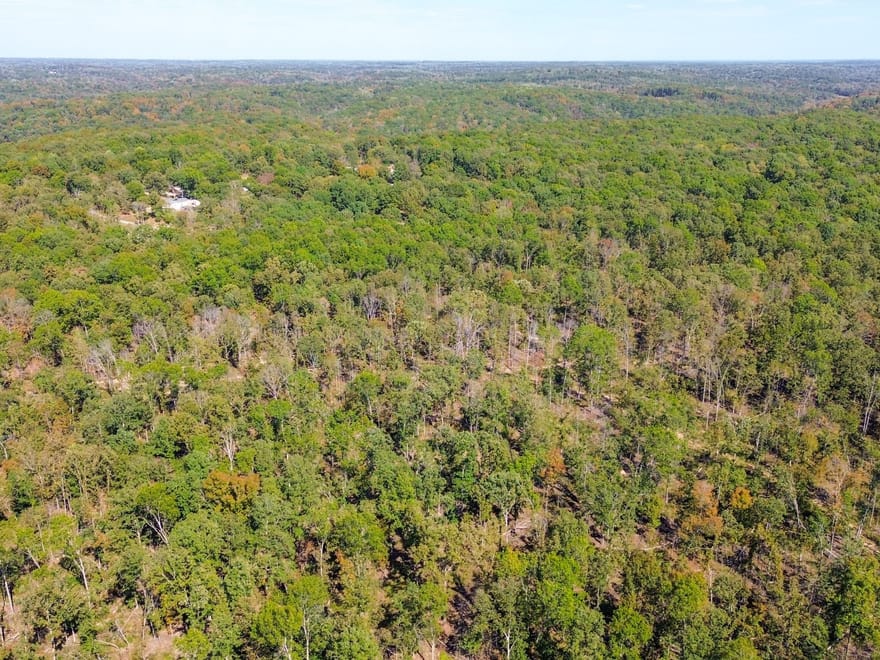 Oak Springs Road Private Homesite