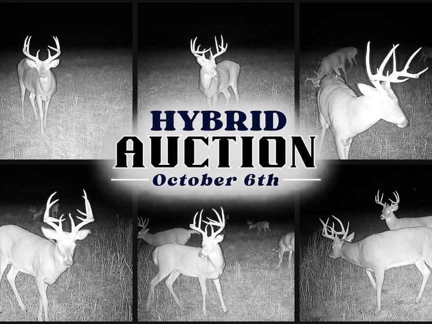 Farm and Hunt Combination 80 near Little River