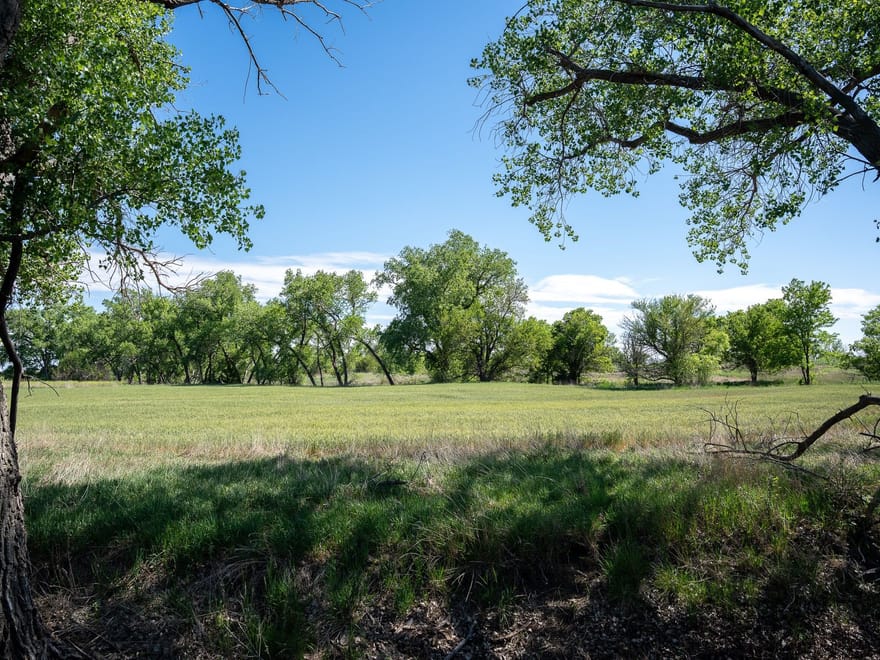 Online Auction - 156 +/- Acres In Rush County, Kansas