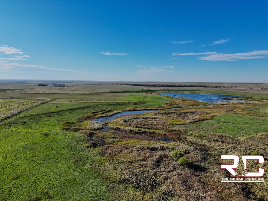 318.51 ± Mixed-Use Acres in Ness County, Kansas