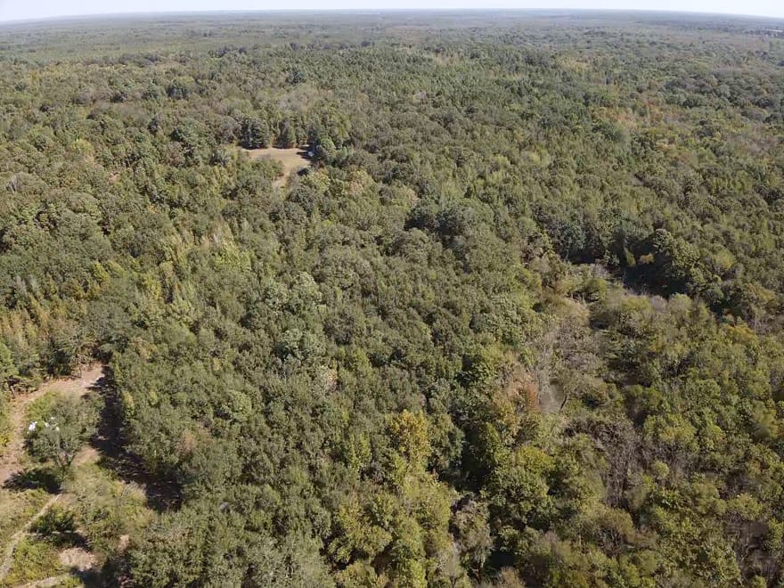 Discover 66± acres of outstanding hunting and recreational land