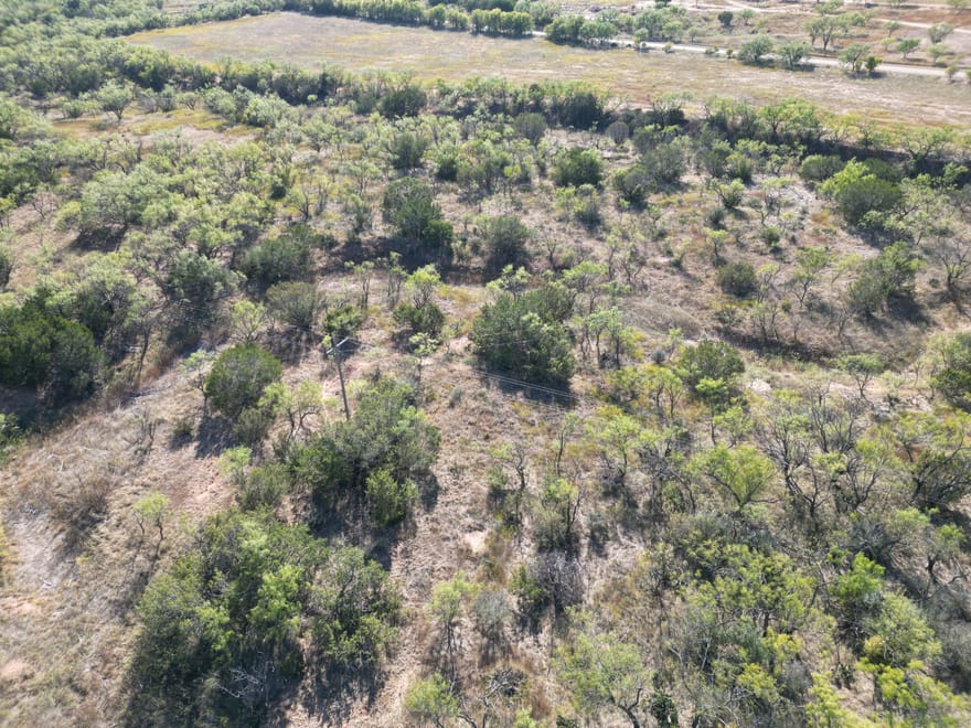 51 +- Ac TBD CR 196 (Tr 2), Taylor Co.