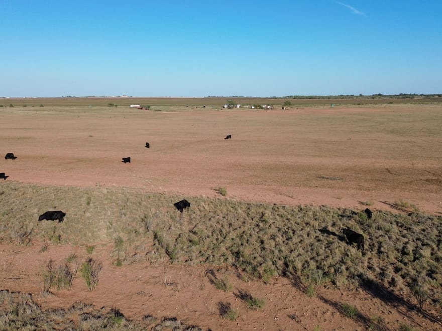 160 +/- Ac & MH 13725 County Rd 455, Jones Co.