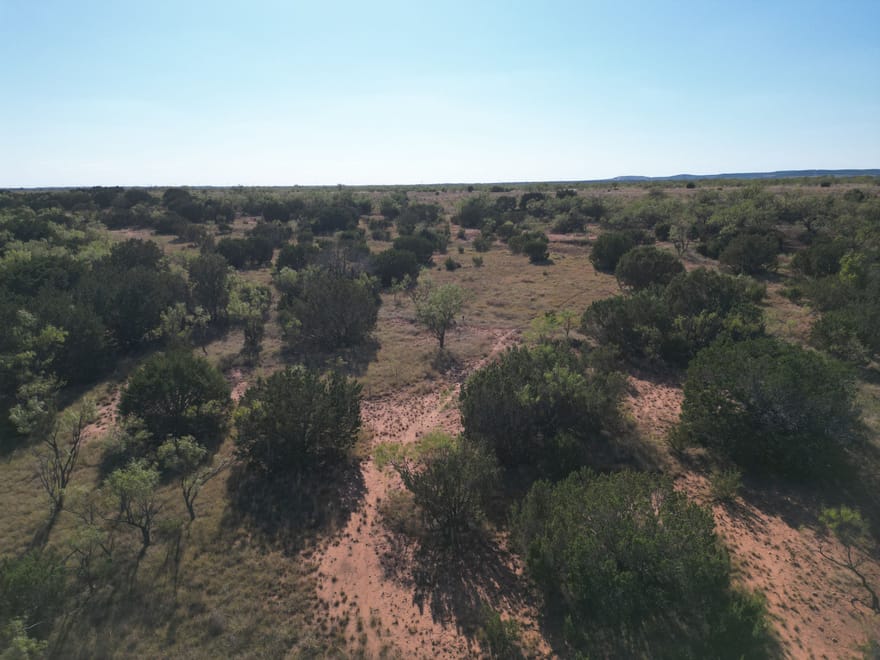 48.5 +/- Ac TBD CR 206 (Tr 3), Ovalo