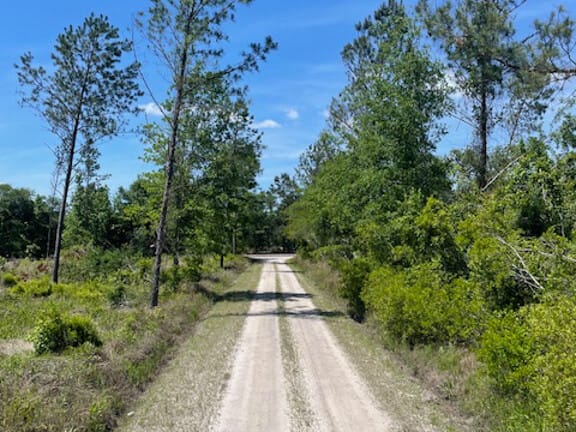 LOWCOUNTRY / HAMPTON COUNTY / LAND FOR SALE