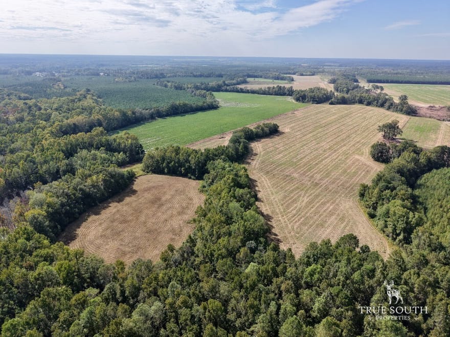 Fairfax Allendale County SC Farming Hunting Land