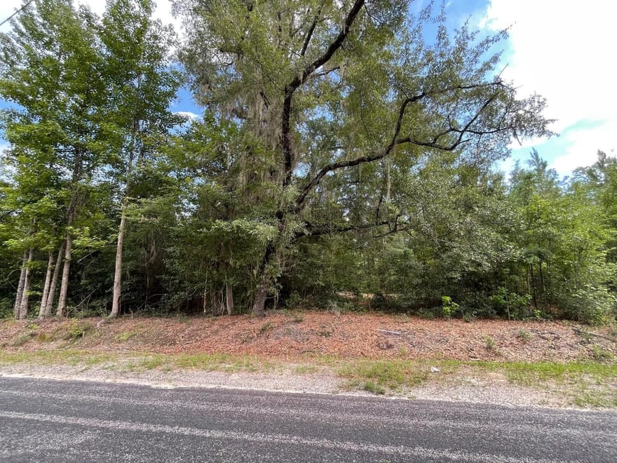 LAND FOR SALE / JASPER COUNTY / LOWCOUNTRY