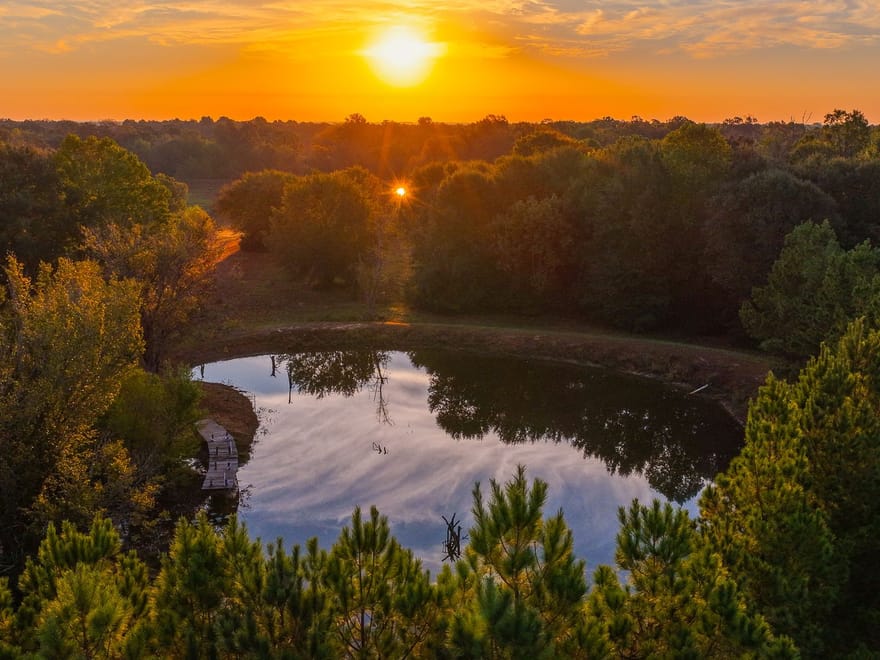 Heritage Oaks Ranch - 103 Acres Premier Deer and Duck Hunting Lamar County 