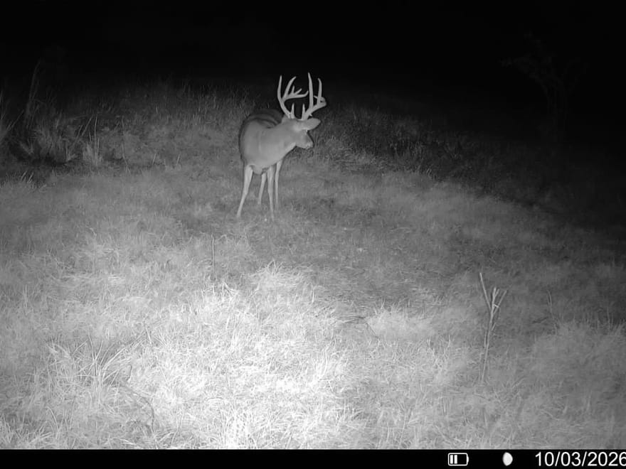 Multi-Use Quarter in Chautauqua County, KS!