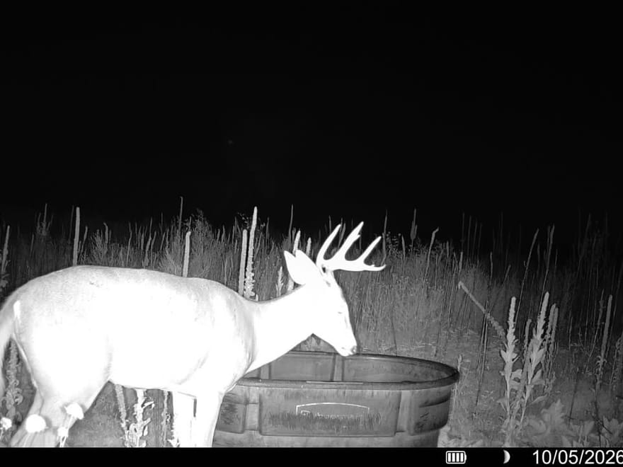 160 Acres - CRP - Elbert County, CO