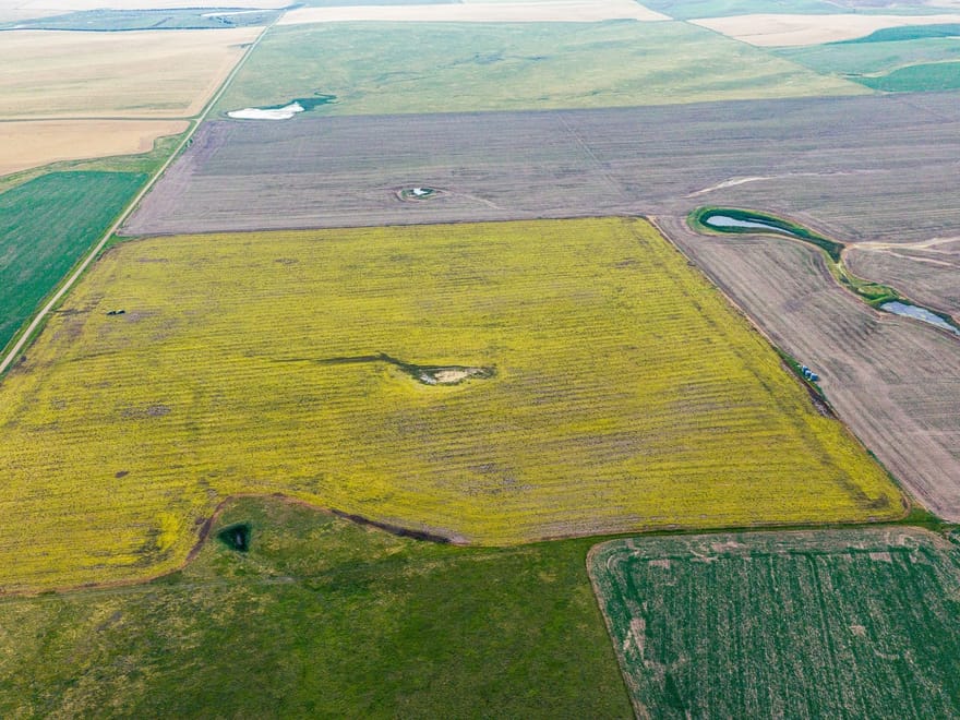 Stanley County, SD 158 Acres