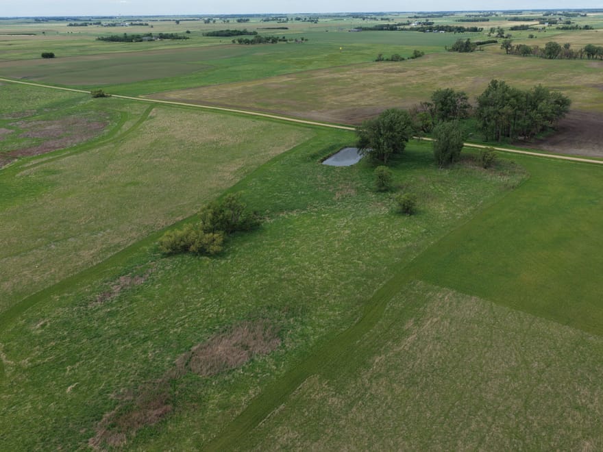 Miner County, SD 293 Acre