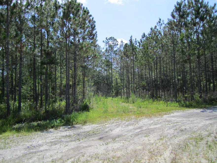 Comp 145A - 1 Moody Northeast