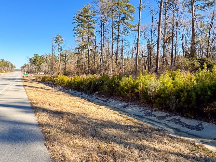 Wilcoxen Forest South