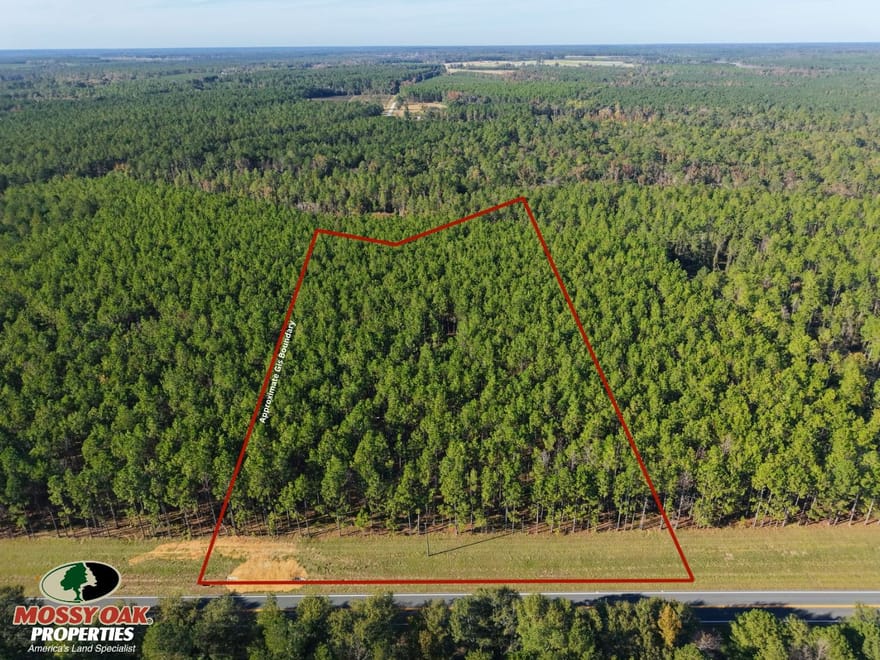 5.15 +/- Ac Land for Sale in Emanuel County, GA