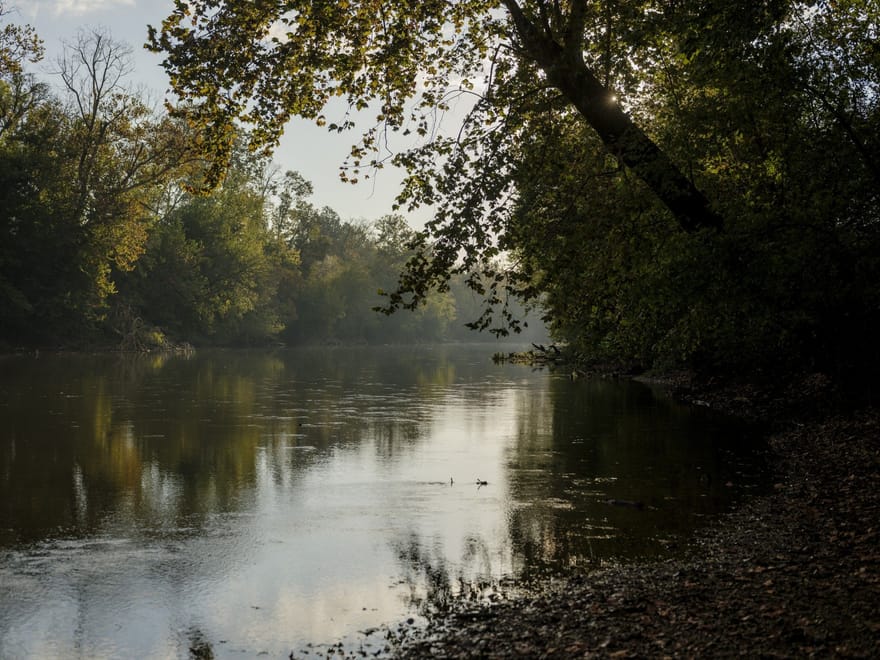 94 Acres on the Duck River