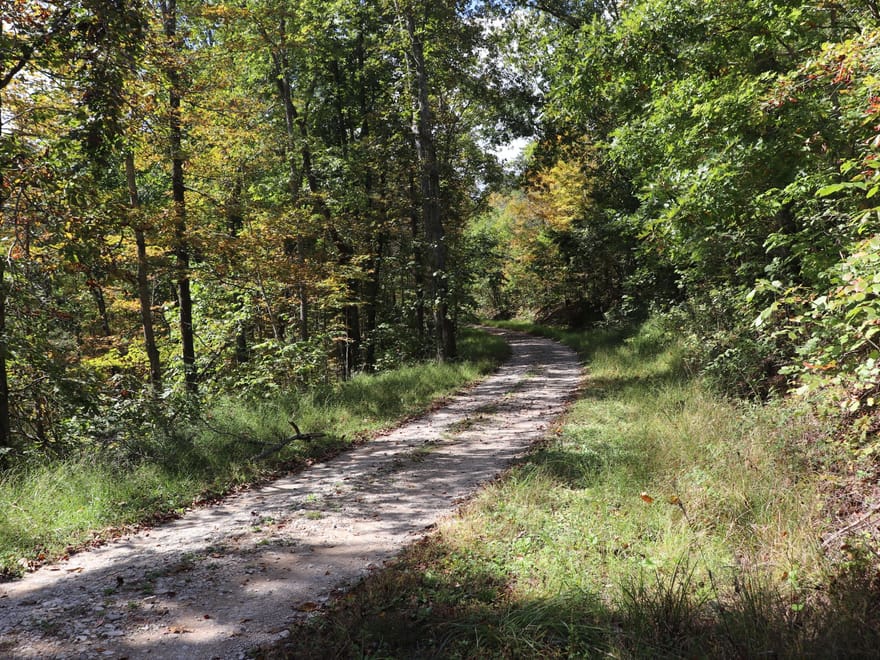 118± Acres of Wooded Recreational Land with Mineral Rights