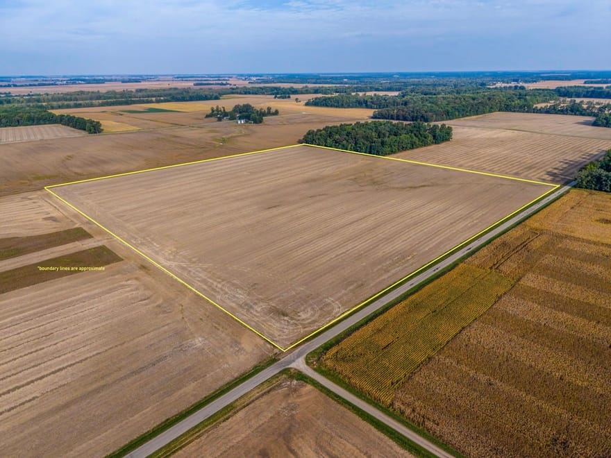 40+/- Acres Jasper County, IL - AUCTION