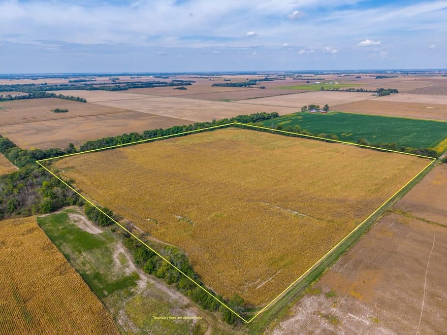 40+/- Acres Bond County, IL