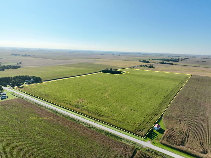 76.66+/- Acres Grundy County, IA - LIVE AUCTION