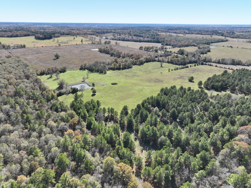 169 Acres | Highway 7 W