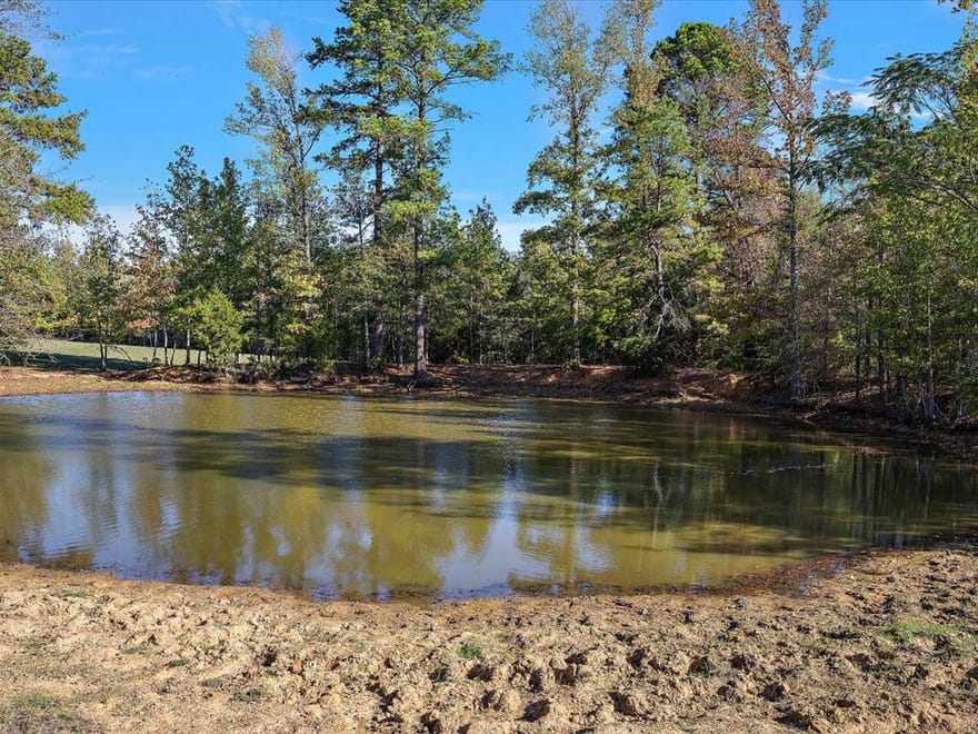 31 Acres | County Road 1601