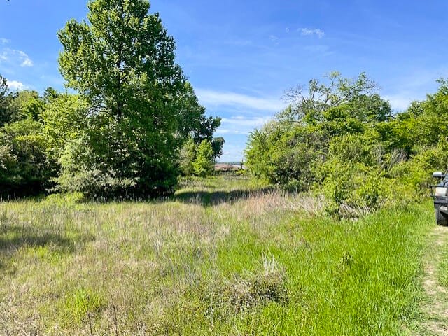 25 Acres | 8763 FM 356 | Trinity County