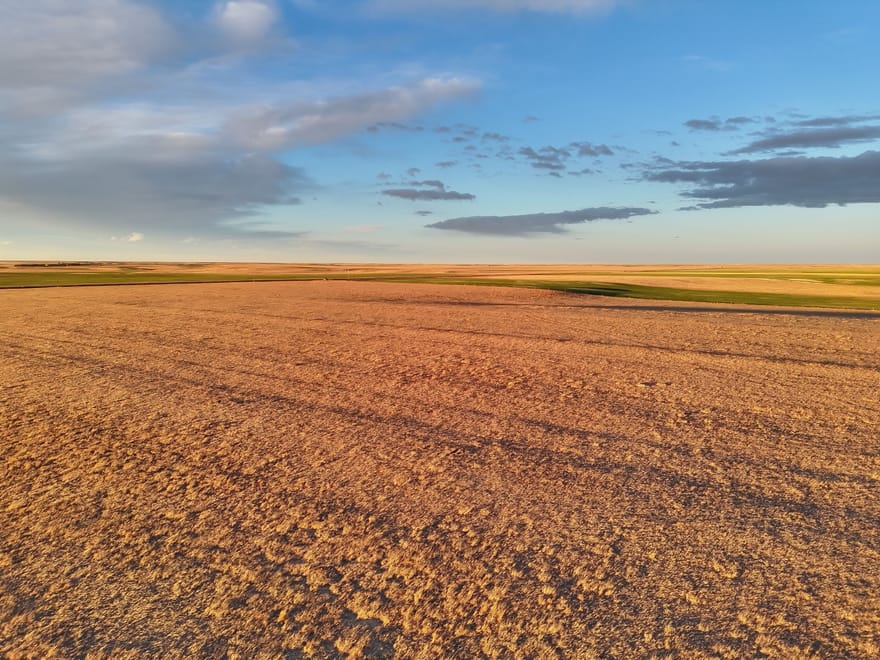 Large Quarter of Expired CRP & Good Soils
