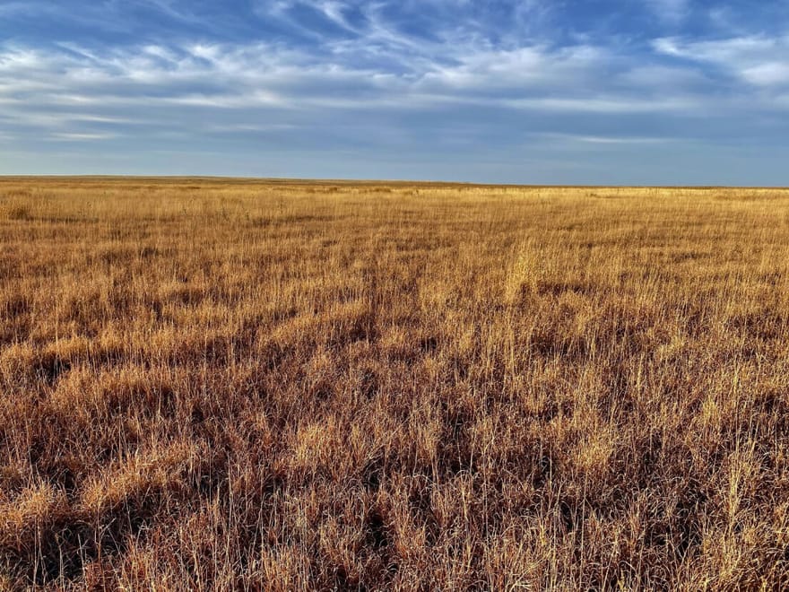 Large Parcel Of CRP With The Current Contract Expiring In 2027