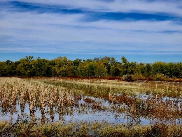 Woodford County IL Duck Club