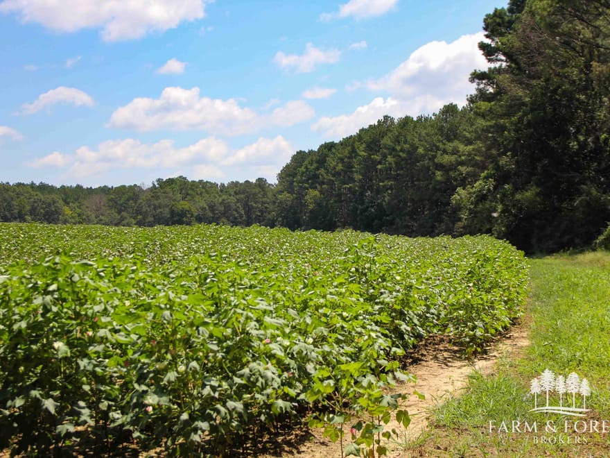 16 Ac ± Coffee Co - County Road 661 - Tract 6 