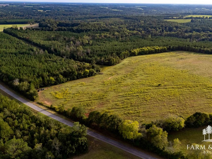 150 Ac ± Henry Co - Ward Creek 